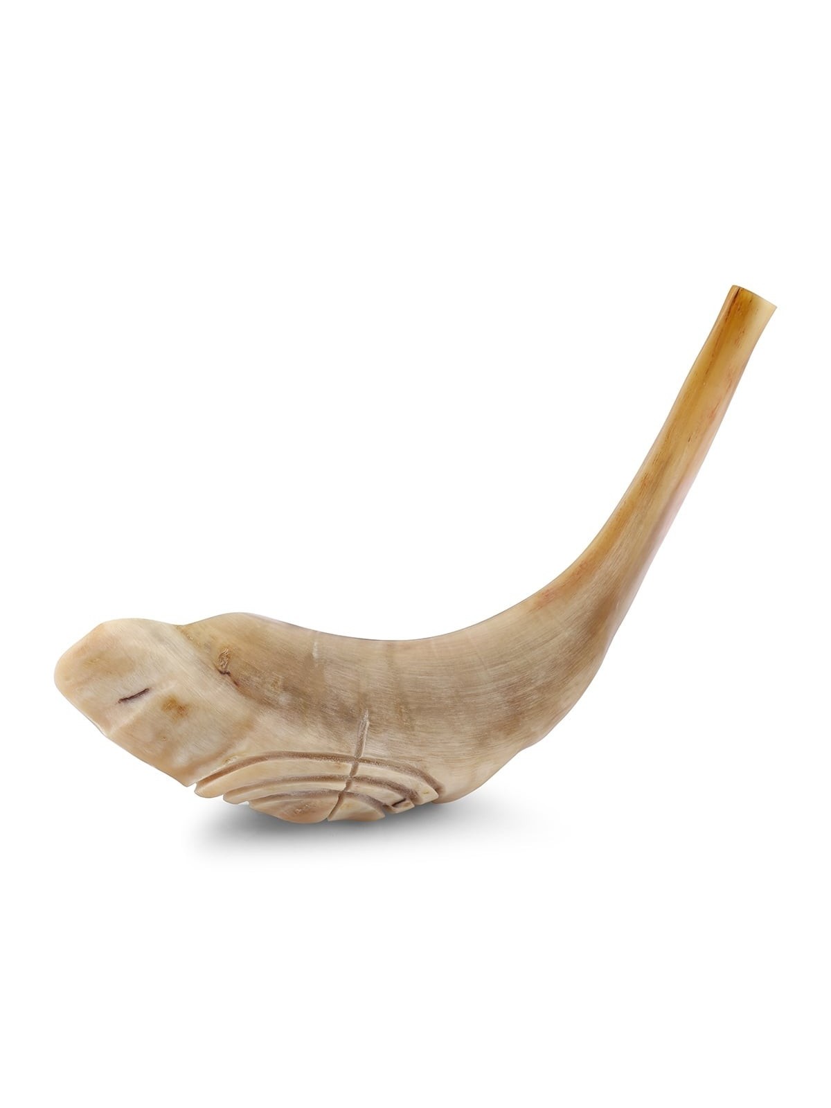 Kosher 16'-18' Ram's Horn Shofar With Menorah Engraving - Polished