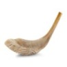 Kosher 16'-18' Ram's Horn Shofar With Menorah Engraving - Polished