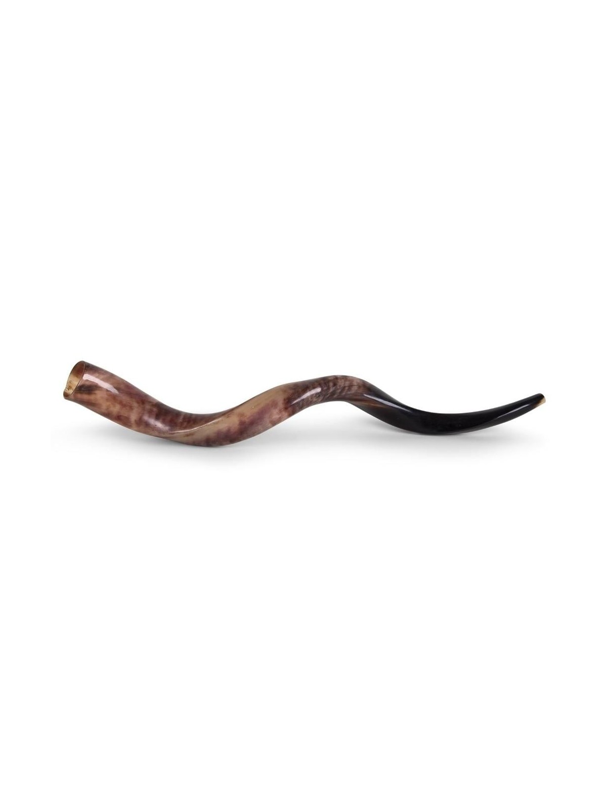 26'-28' Yemenite Kudu Shofar - Polished