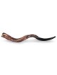 26'-28' Yemenite Kudu Shofar - Polished