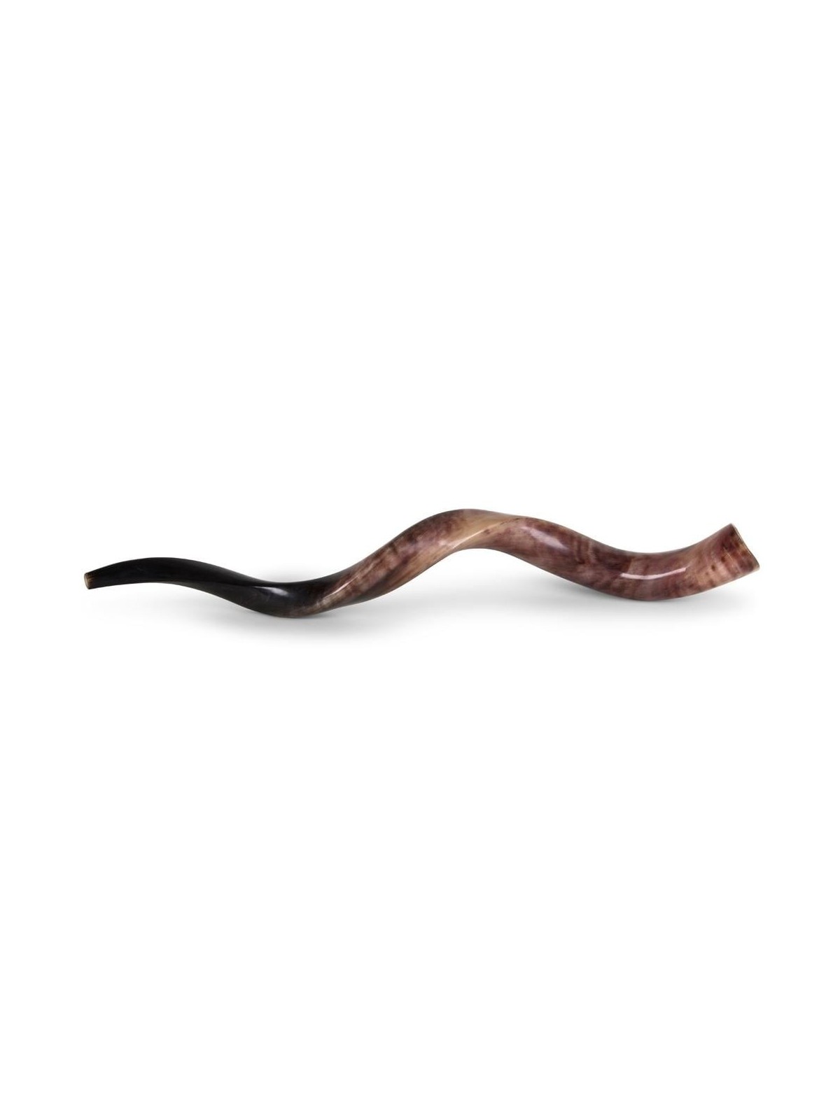 26'-28' Yemenite Kudu Shofar - Polished