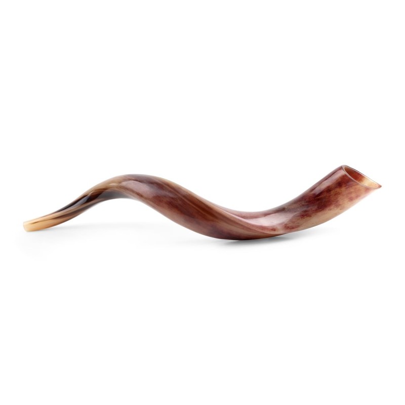 26'-28' Yemenite Kudu Shofar - Polished