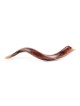 26'-28' Yemenite Kudu Shofar - Polished