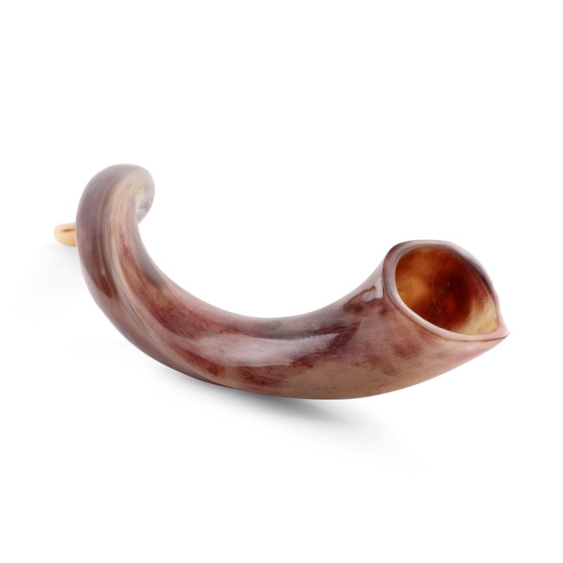 26'-28' Yemenite Kudu Shofar - Polished