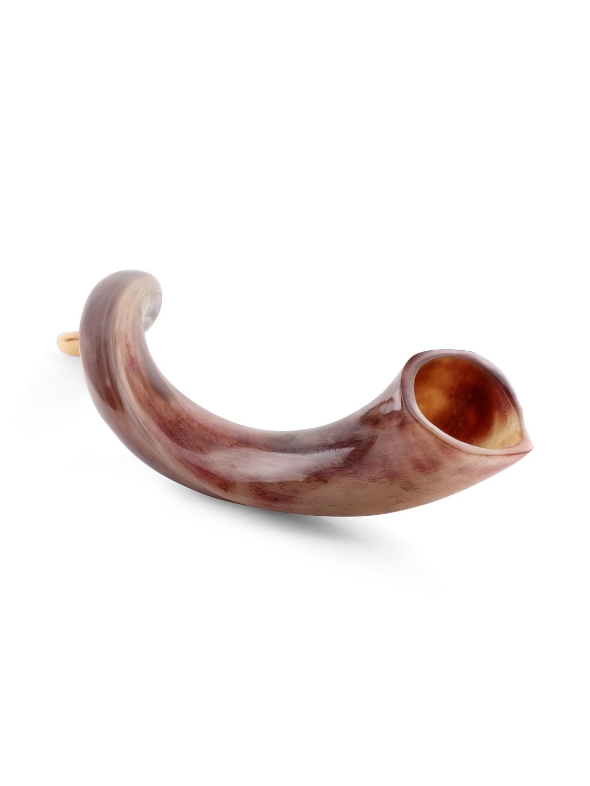 26'-28' Yemenite Kudu Shofar - Polished