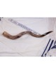 26'-28' Yemenite Kudu Shofar - Polished