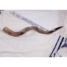 26'-28' Yemenite Kudu Shofar - Polished