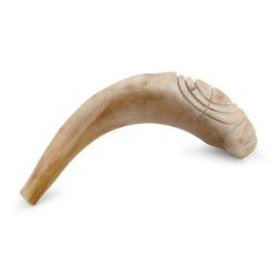 Kosher 14'-16' Polished Ram's Horn Shofar With Menorah Engraving
