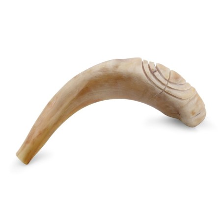 Kosher 14'-16' Polished Ram's Horn Shofar With Menorah Engraving