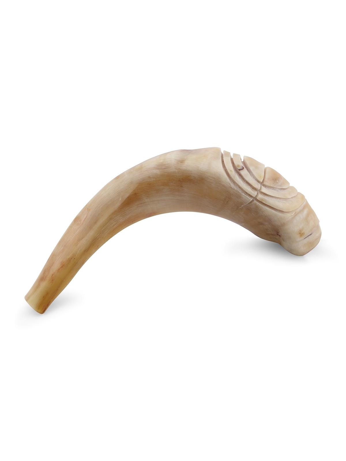 Kosher 14'-16' Polished Ram's Horn Shofar With Menorah Engraving