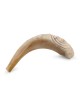 Kosher 14'-16' Polished Ram's Horn Shofar With Menorah Engraving