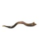 24'-26' Yemenite Kudu Shofar - Semi-Polished