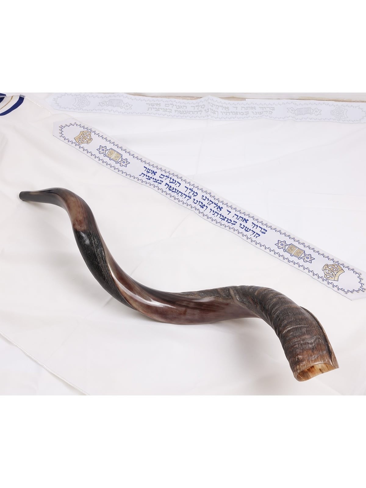 24'-26' Yemenite Kudu Shofar - Semi-Polished