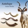24'-26' Yemenite Kudu Shofar - Semi-Polished