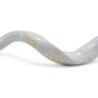 David's Harp Hand Painted Black and White Kudu Shofar