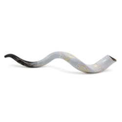 David's Harp Hand Painted Black and White Kudu Shofar