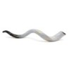 David's Harp Hand Painted Black and White Kudu Shofar