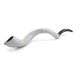 David's Harp Hand Painted Black and White Kudu Shofar