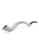 David's Harp Hand Painted Black and White Kudu Shofar