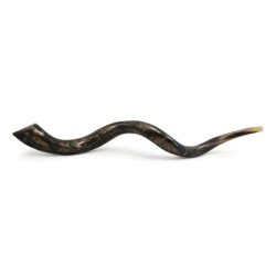 Grapes Hand Painted Kudu Shofar