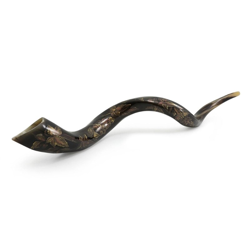 Grapes Hand Painted Kudu Shofar