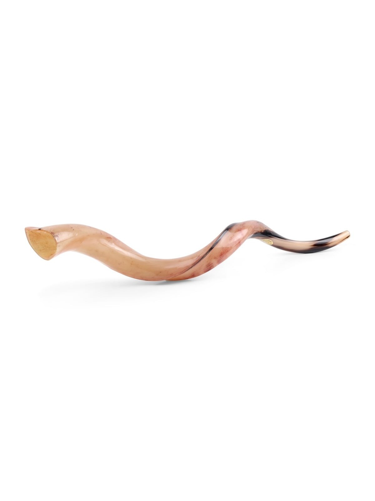 30'-32' Yemenite Kudu Shofar - Polished