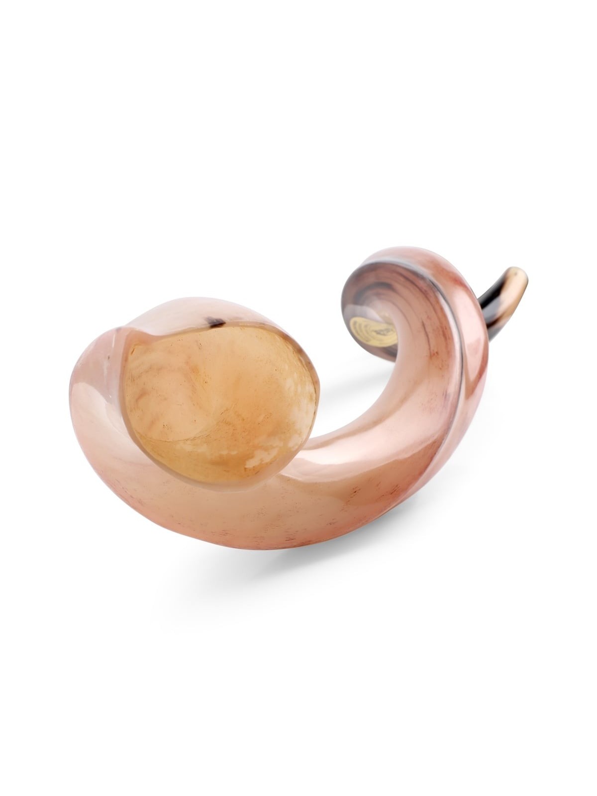 30'-32' Yemenite Kudu Shofar - Polished