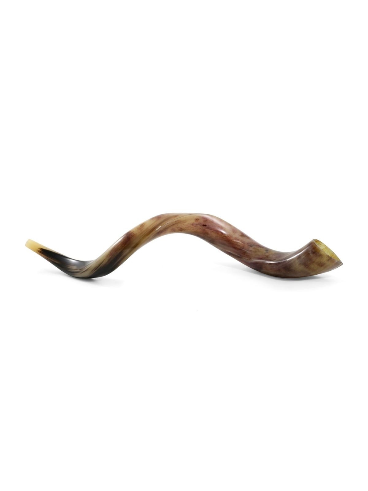 30'-32' Yemenite Kudu Shofar - Polished