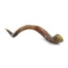 30'-32' Yemenite Kudu Shofar - Polished