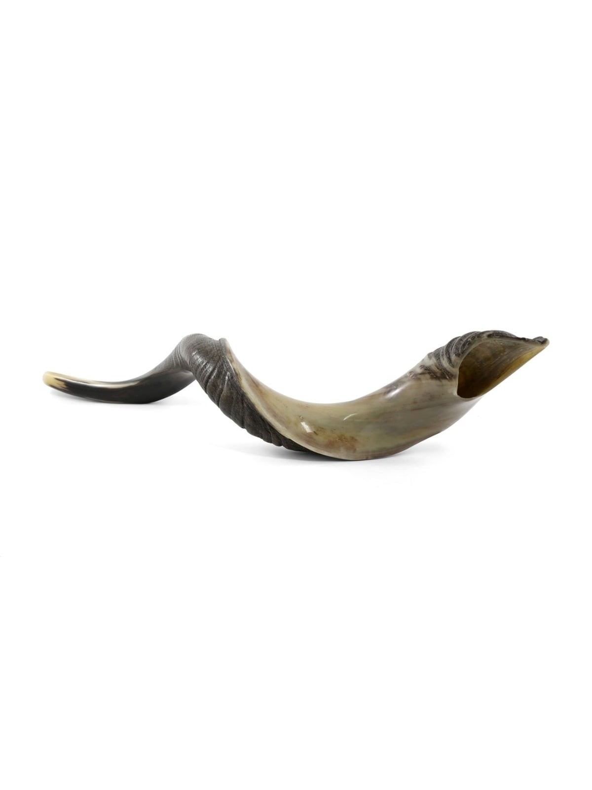 36'-38' Yemenite Kudu Shofar - Half-Polished