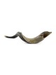 36'-38' Yemenite Kudu Shofar - Half-Polished