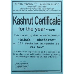 36'-38' Yemenite Kudu Shofar - Half-Polished