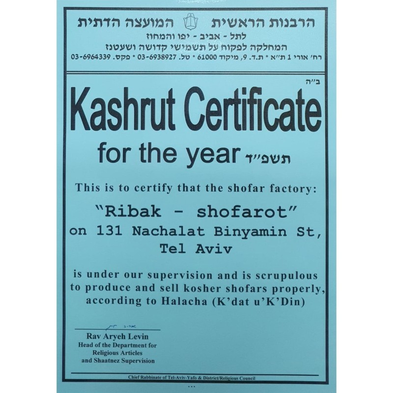 36'-38' Yemenite Kudu Shofar - Half-Polished