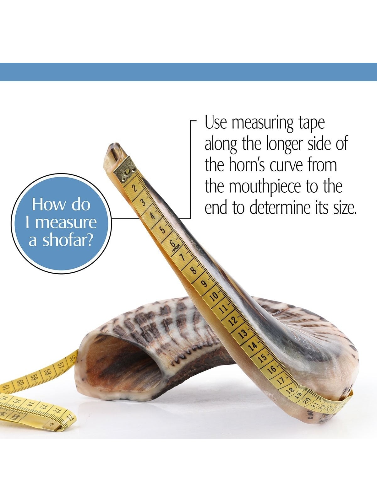 36'-38' Yemenite Kudu Shofar - Half-Polished
