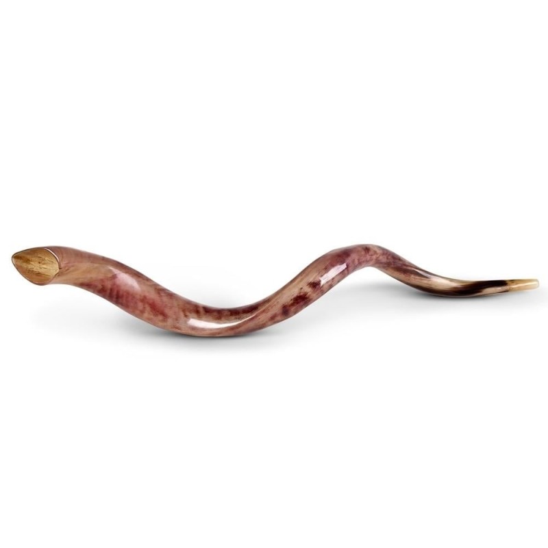 34'-36' קודו שופר תימני - מלוטש