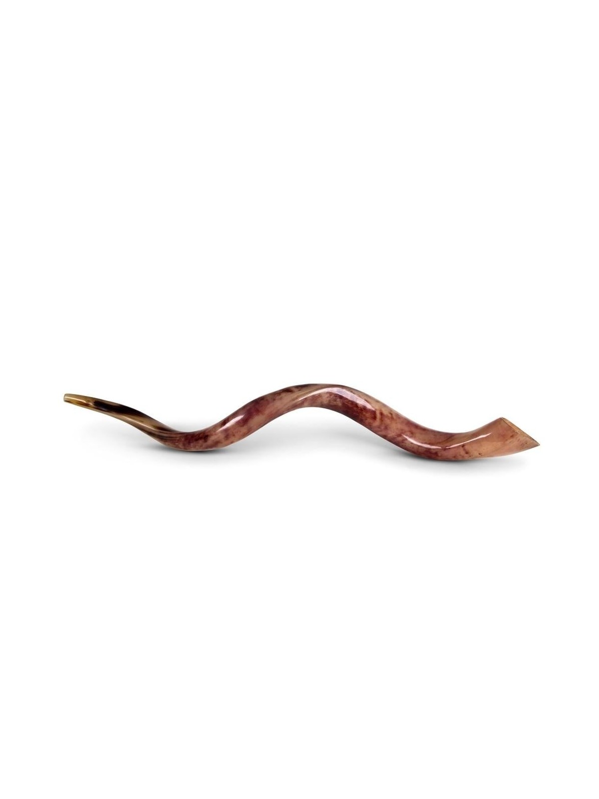 34'-36' Yemenite Kudu Shofar - Polished
