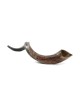 32'-34' Yemenite Kudu Shofar - Half-Polished
