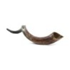 32'-34' Yemenite Kudu Shofar - Half-Polished
