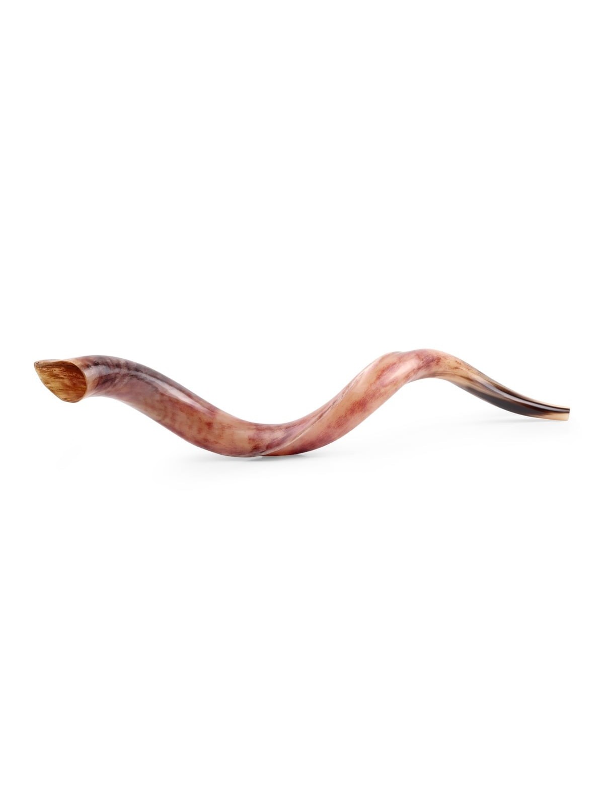 32'-34' Yemenite Kudu Shofar - Polished