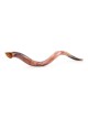 32'-34' Yemenite Kudu Shofar - Polished