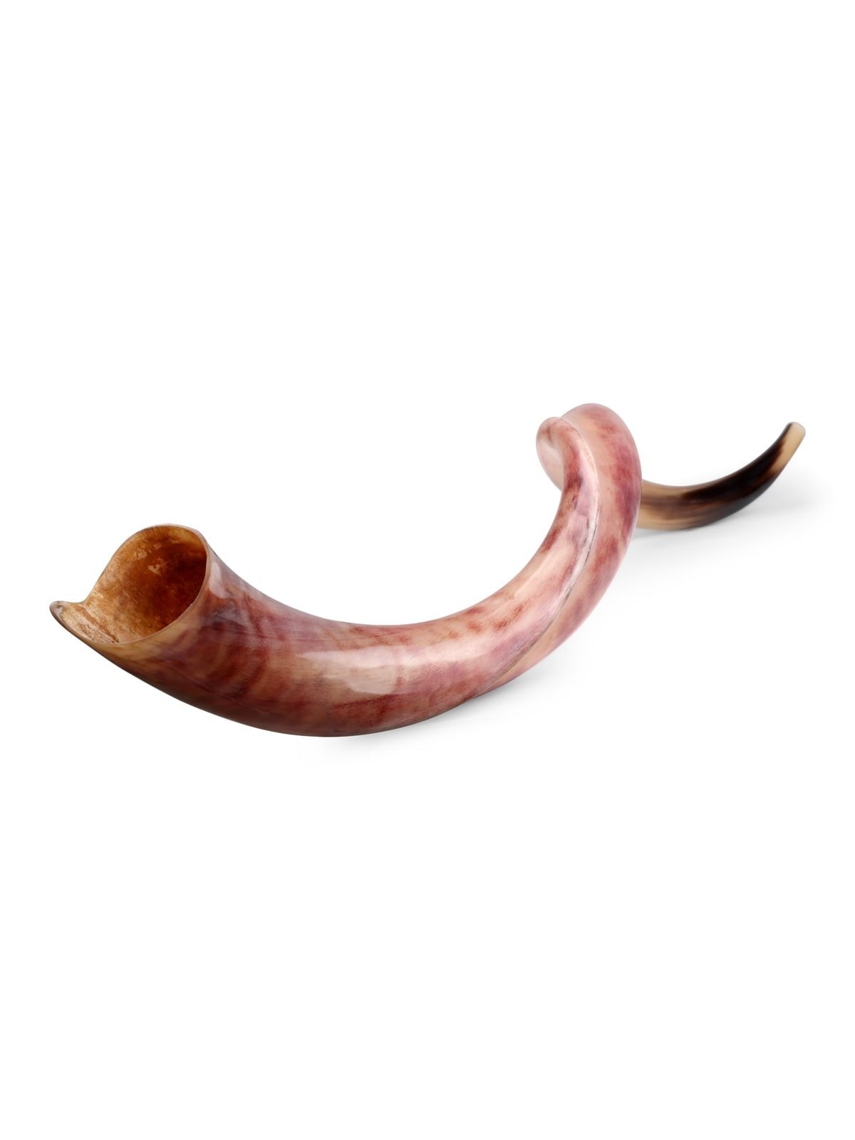 32'-34' Yemenite Kudu Shofar - Polished
