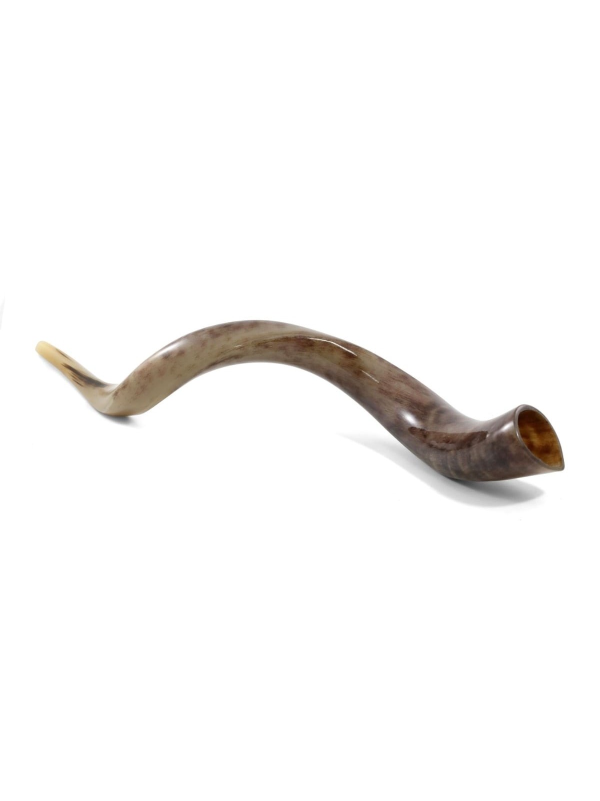 32'-34' Yemenite Kudu Shofar - Polished
