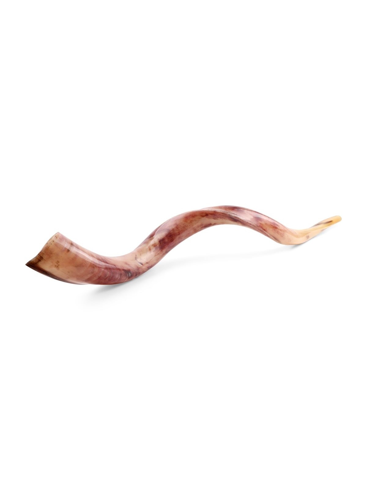 38'-40' Yemenite Kudu Shofar - Polished