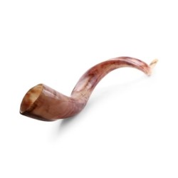 38'-40' Yemenite Kudu Shofar - Polished
