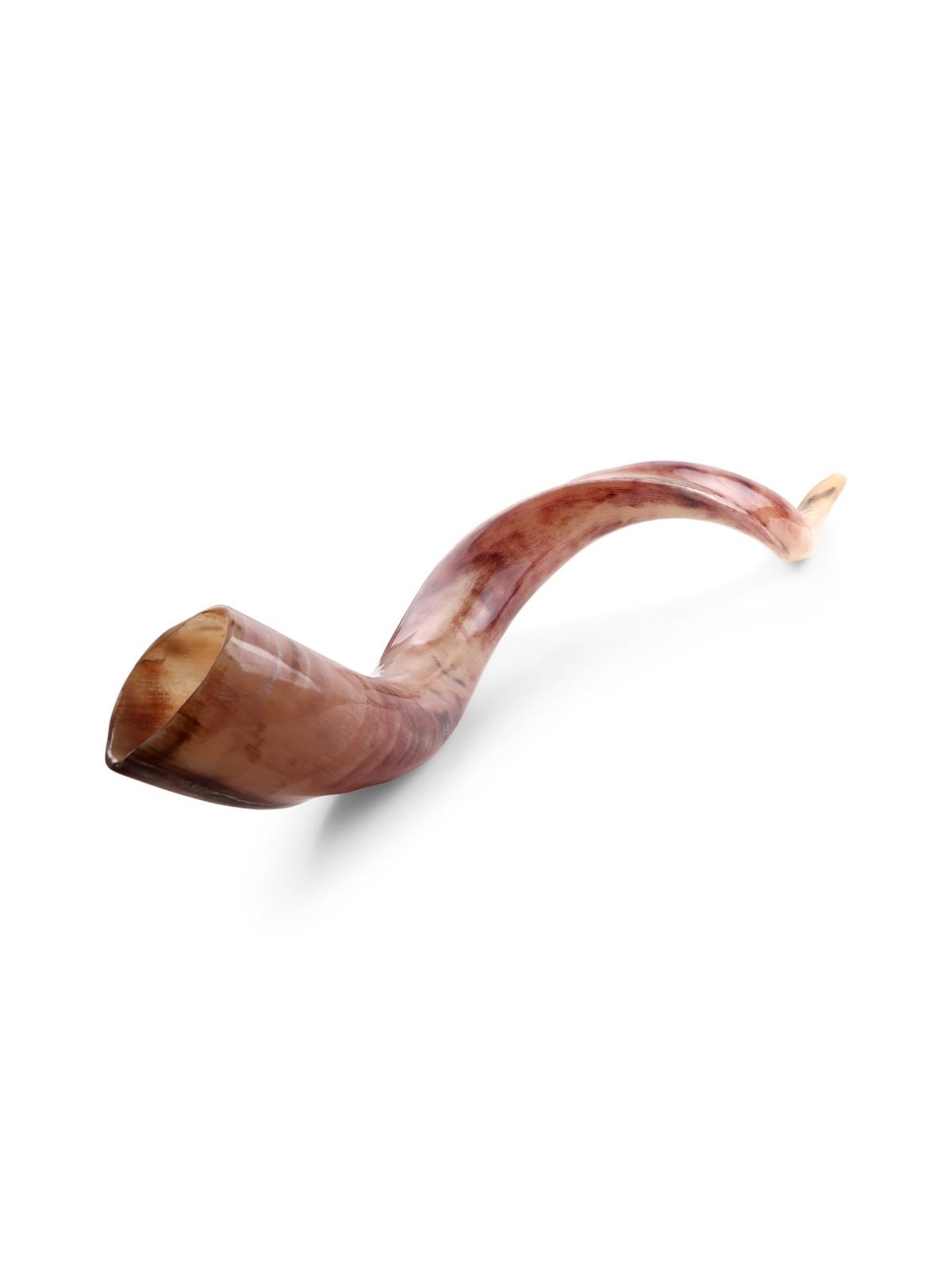 38'-40' Yemenite Kudu Shofar - Polished
