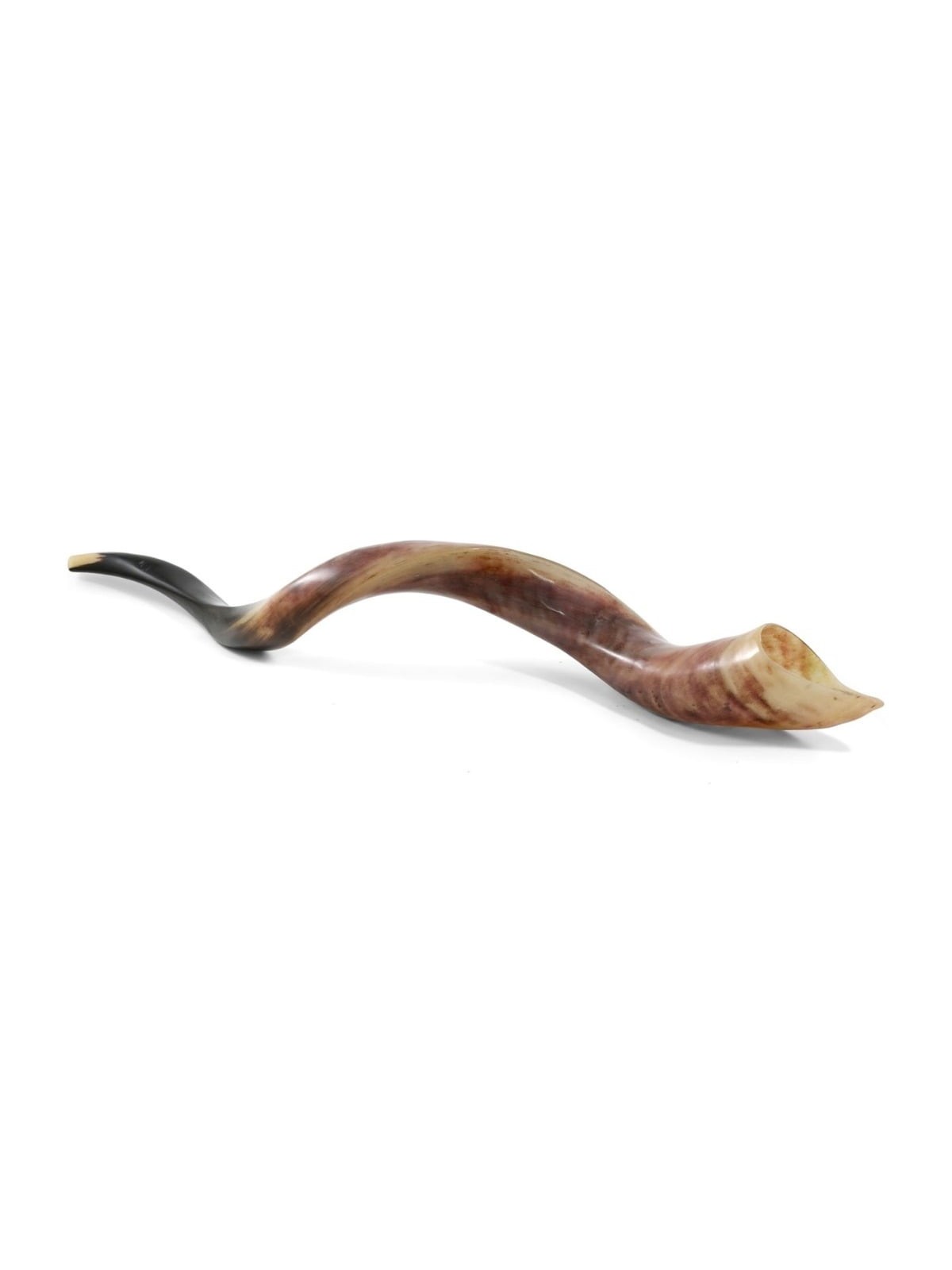 38'-40' Yemenite Kudu Shofar - Polished