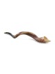 38'-40' Yemenite Kudu Shofar - Polished