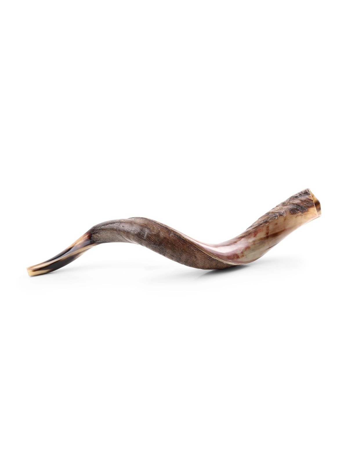30'-32' Yemenite Kudu Shofar - Half-Polished