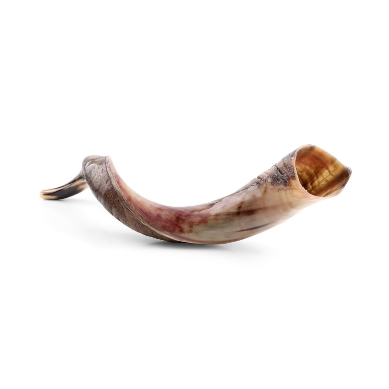 30'-32' Yemenite Kudu Shofar - Half-Polished