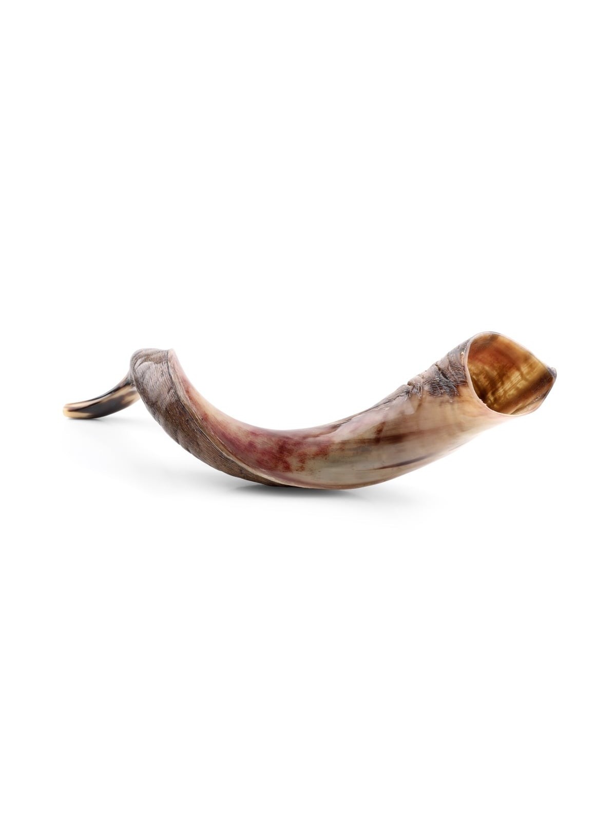 30'-32' Yemenite Kudu Shofar - Half-Polished